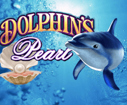 Dolphins Pearl - 560698